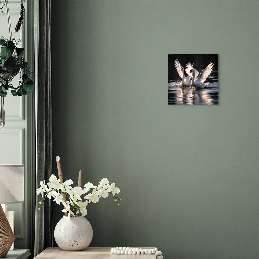Birds - White Swans - High Gloss Metal Art Prints - The Shoppers Outlet