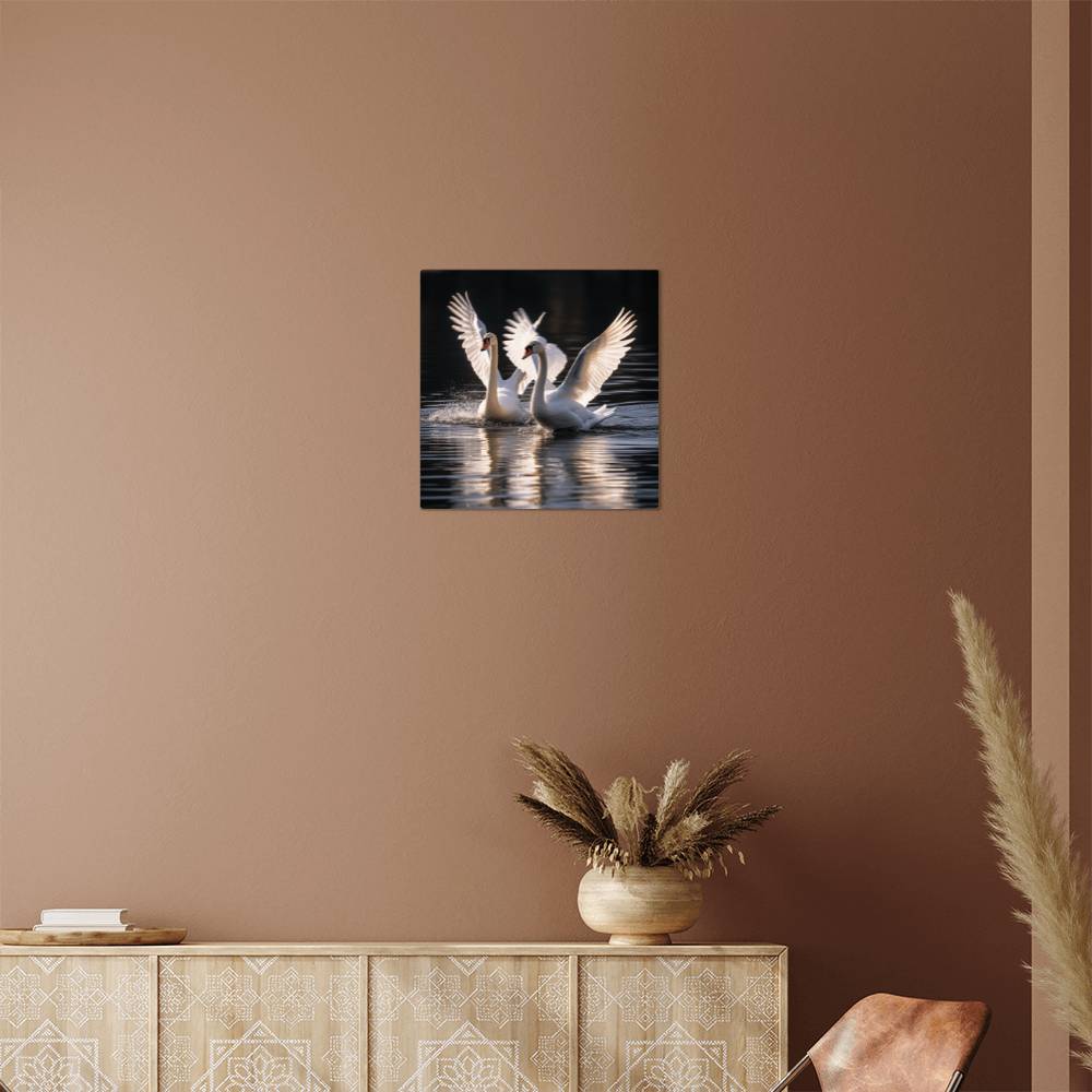 Birds - White Swans - High Gloss Metal Art Prints - The Shoppers Outlet