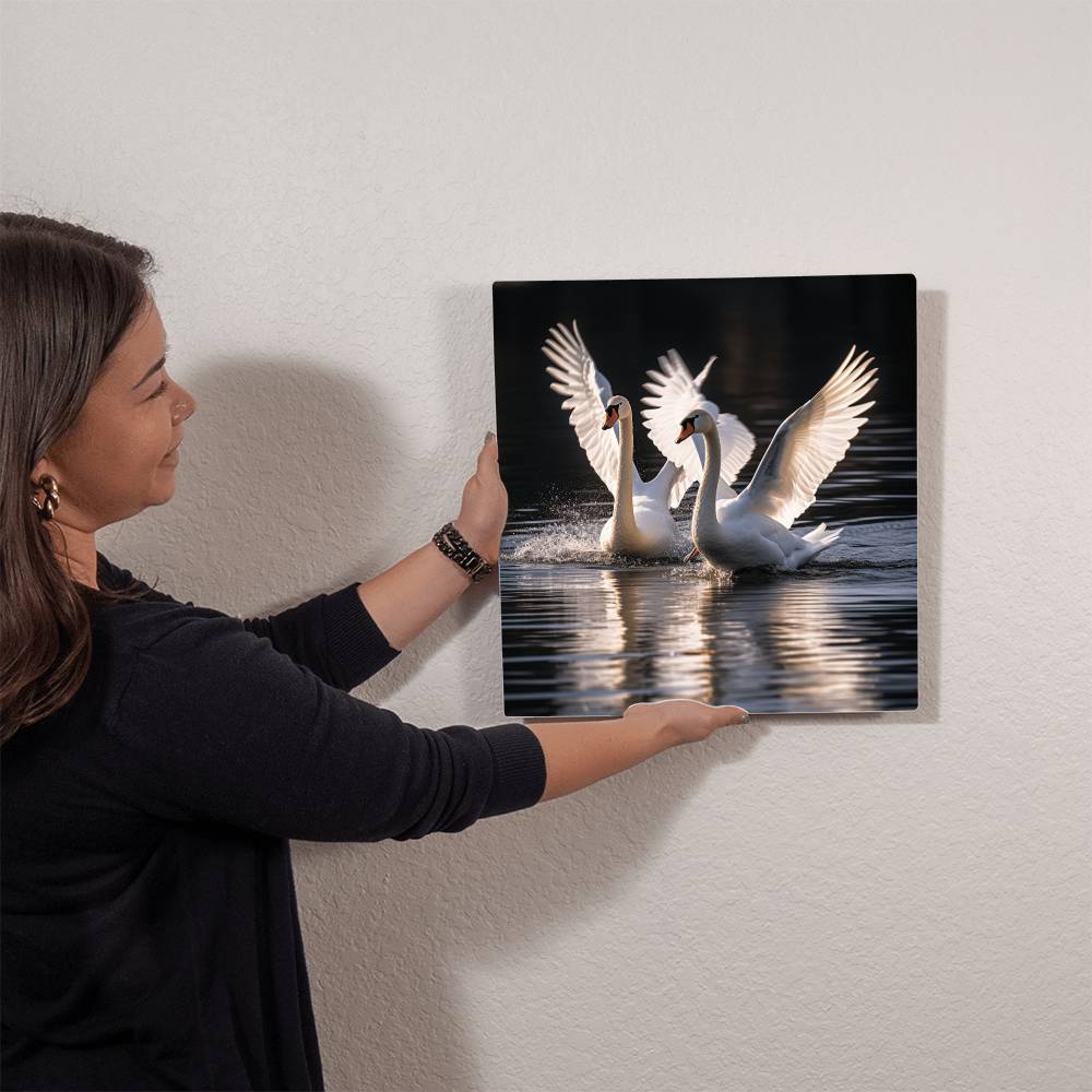 Birds - White Swans - High Gloss Metal Art Prints - The Shoppers Outlet