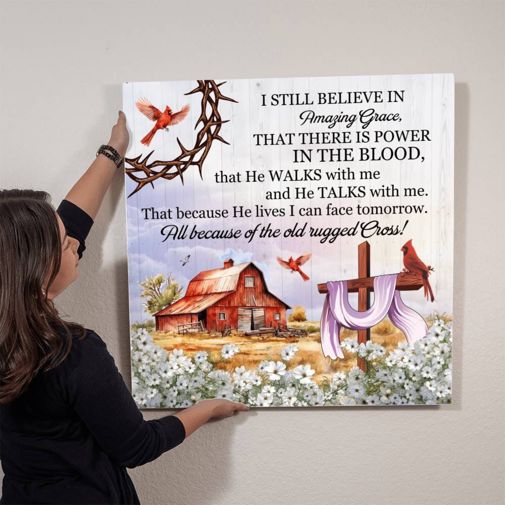 Inspirational -I Still Believe in Amazing Grace 2 - High Gloss Metal Art Prints - The Shoppers Outlet