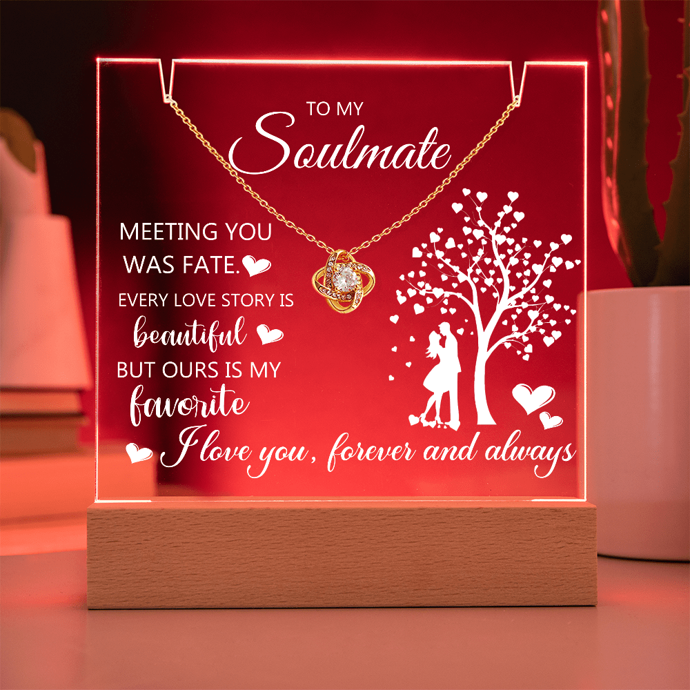 Gift For Soulmate - Meeting You Was Fate - Keepsake Acrylic Bundle - The Shoppers Outlet