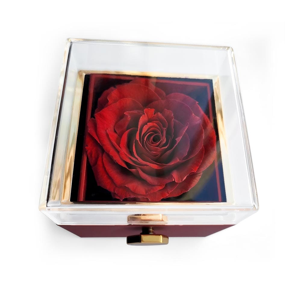 Gift For Mom - You're My Everything - Mother's Day Gift - Birthday Gift - Love Knot With Rotating Rose Gift Box - The Shoppers Outlet