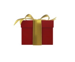 Holiday Shopping: The Must Have Items For The Holidays