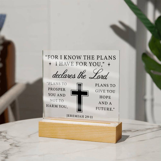 Faith - For I Know The Plans I Have For You - Jeremiah 29:11 - Night Light - Square Acrylic Plaque - The Shoppers Outlet