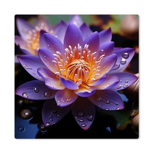 Flowers - Purple Lotus Plant - High Gloss Metal Art Prints - The Shoppers Outlet