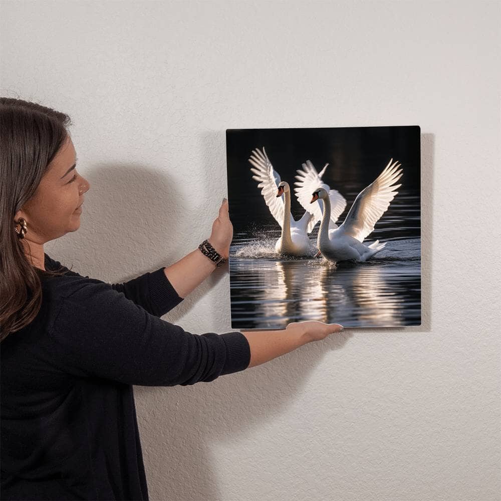 Birds - White Swans - High Gloss Metal Art Prints - The Shoppers Outlet