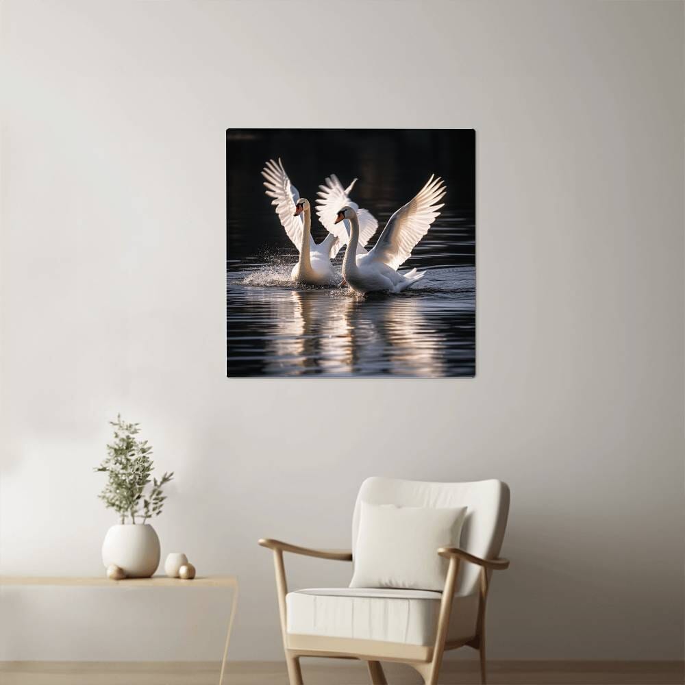 Birds - White Swans - High Gloss Metal Art Prints - The Shoppers Outlet